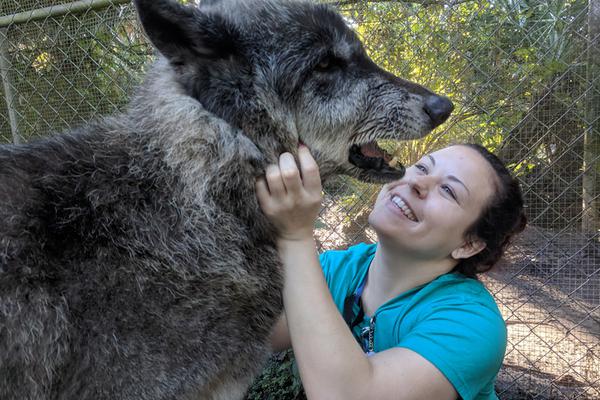 九江市文化和旅游局访问新加坡和马来西亚，以拓展国际旅游市场。截图3