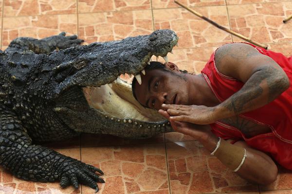 第二届中国—葡语国家博览会将于10月下旬开幕，重点关注中国与葡语国家合作的六大重点产业。截图0