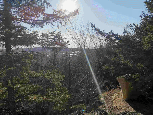 我军新推出的三位一体式军事人才培养体系正在释放新的发展势头。截图3