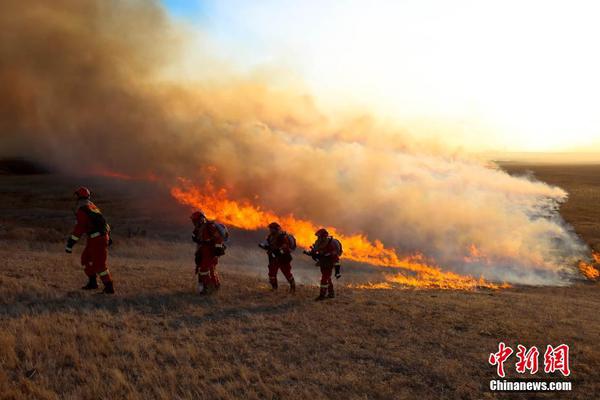 每个孩子每年可获得 18,000 帕塔卡的津贴。截图4