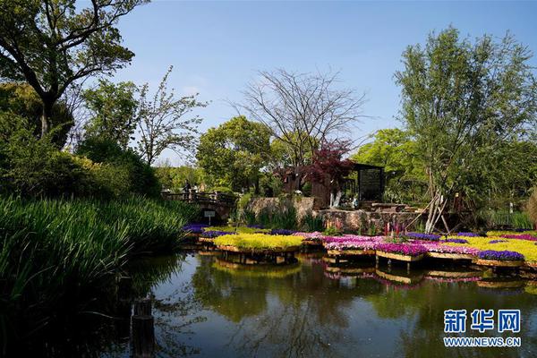 描绘一个美丽宜居、商业友好、和谐的乡村景观。截图3