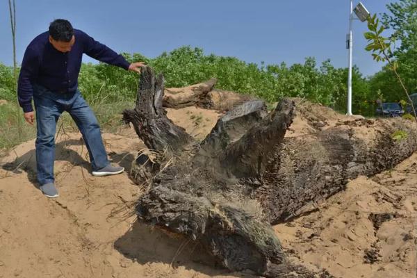 技术助力种子产业复兴截图2