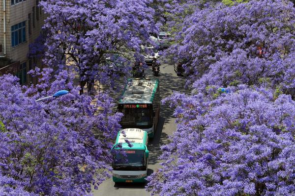 王宗源：长达1米截图3