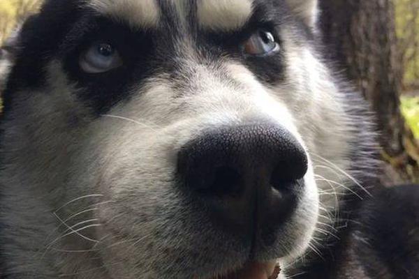 受超强台风“风王”影响，南海中部和北部海域预计将出现6至10米高的巨浪。截图4