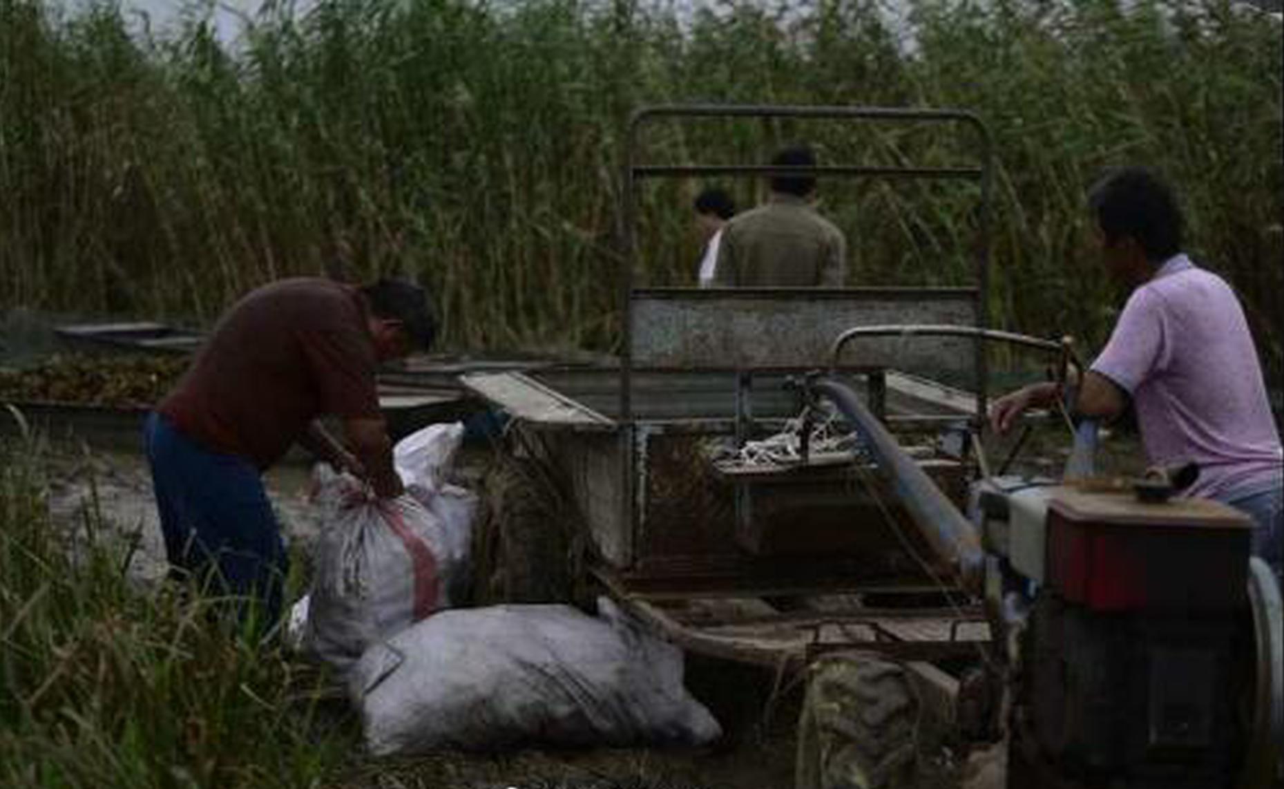 摘自关于推动中国报业主流媒体系统性改革研讨会的重要发言。截图0