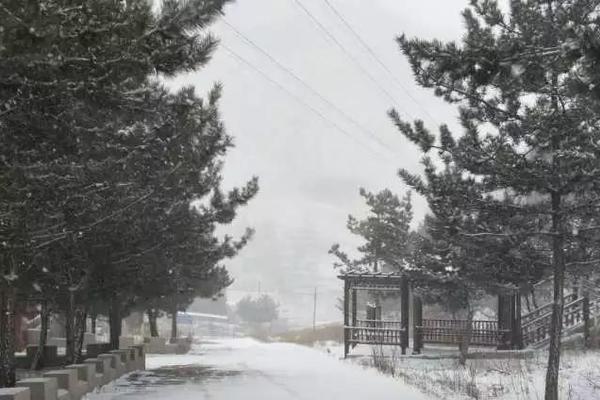 政策助农重在接地气截图3