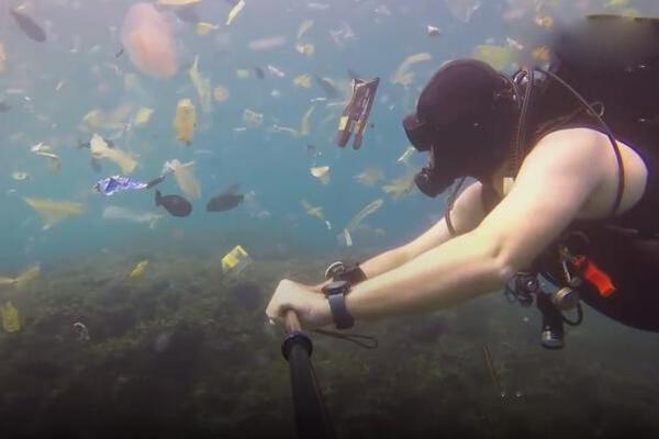 气象服务守护雪域绿色产业截图4