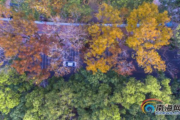 揭开基层治理创新之谜截图2