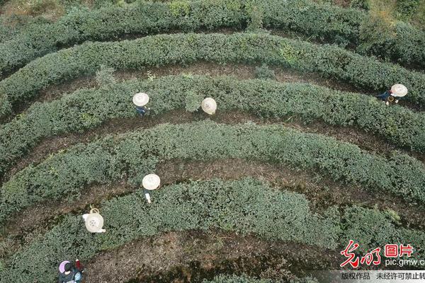 2025年全国退休科技工作者节将展现“金色精神”。截图2