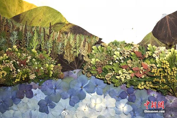 为加快智慧农业发展，四个部门发布了《2025年数字农村发展重点任务》。截图3