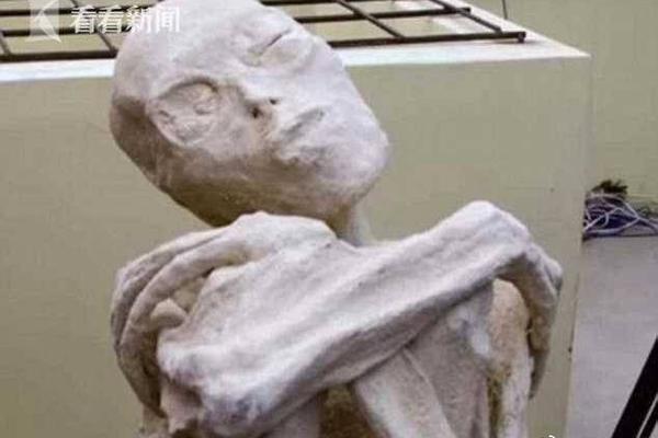 “2025年香港国际职业博览会”创新及科技特别会议吸引了近5000名求职者。截图0