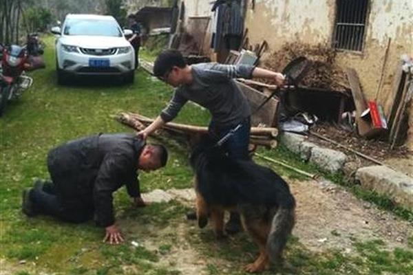 卡尔汗盐湖风景名胜区的年游客数量已超过100万人次。截图1