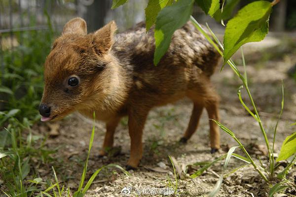 2025年全国粮食和物资储备科技活动周启动截图3