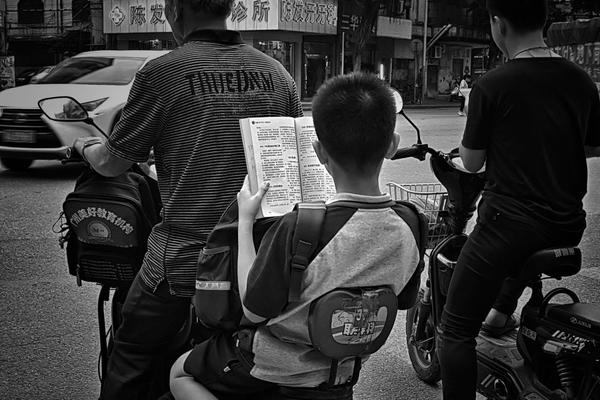 广东鹤山汽车坠落事故报告：排除工伤事故，认定为意外事件。截图4