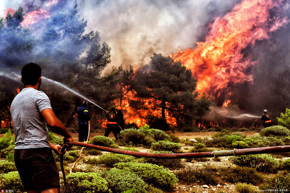 社会各界捐款捐物帮助香港大埔火灾受灾居民截图3