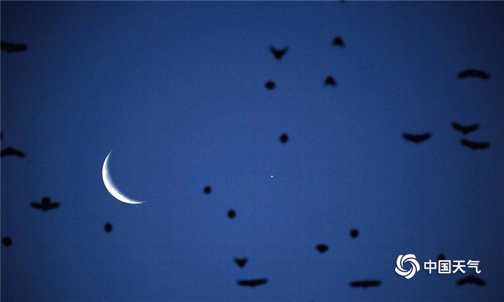 适应新趋势，释放农村消费潜力截图1