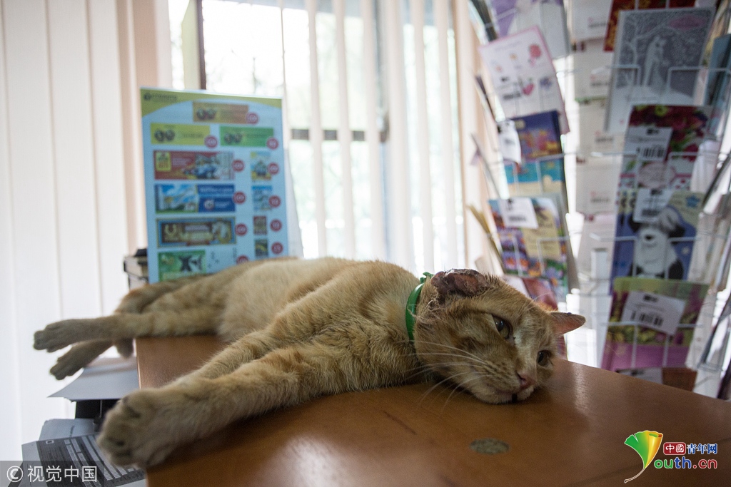 香港赛马会新赛季即将拉开帷幕，为赛马旅游业带来新的亮点。截图0