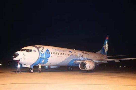 军旅：说好体验生活，你成将军了