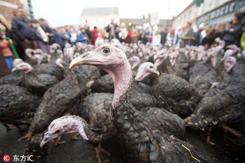 加速交通运输与能源一体化：产业一体化的创新路径在业内引发热议。截图4