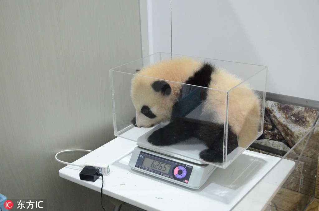 第十二届丝绸之路国际电影节“金丝绸之路奖”获奖名单已公布。截图1