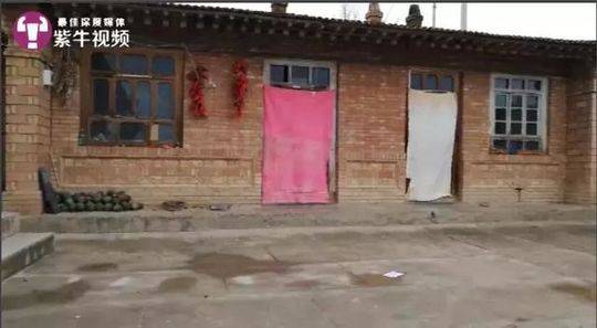 通过竞争来提升彼此的技能截图3