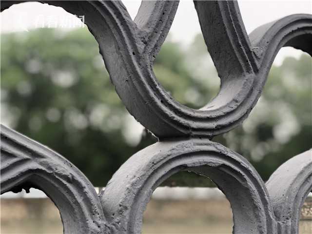 香港举办植树日活动截图3