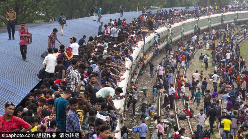 只有了解自身情况，才能更好地加强农业，振兴乡村。截图2