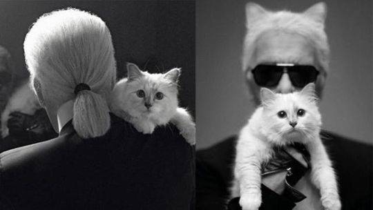 国家移民管理局推出了10项创新举措，以支持扩大开放和高质量服务发展。截图4