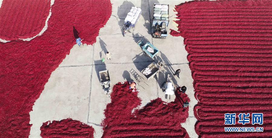 不可动摇的“根本优势”截图2