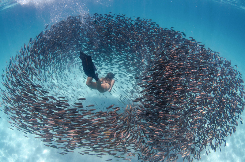 《古典文献中的非物质文化遗产》开启了普世共享之旅截图0