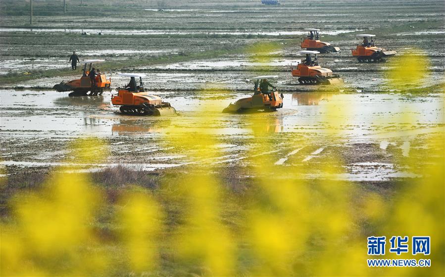 张永梅代表：构建协作式教育体系截图4