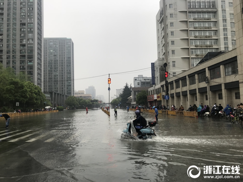 养成反派女主后，她们追来了