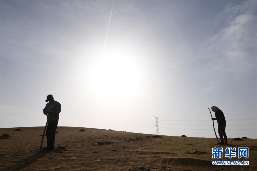 面向农业投入品供应的数字化在线交易平台正式上线。截图2