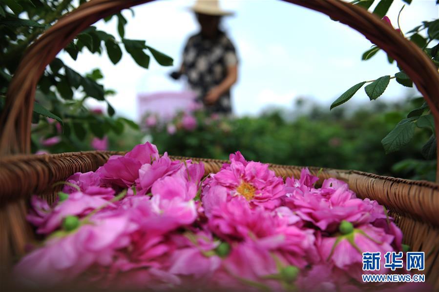 在高海拔公路上，“纯爱”滋养着士兵们的心灵。截图3