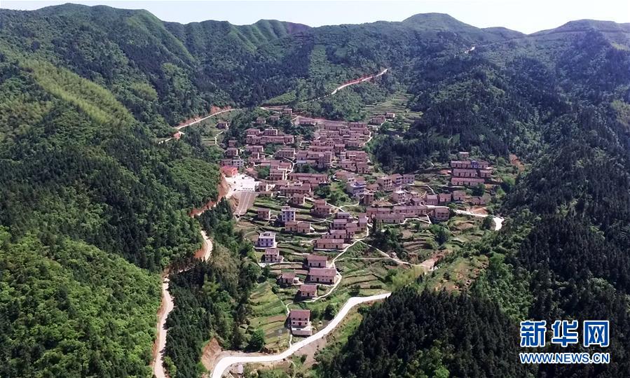 我踩死条虫子，系统竟说我屠龙？