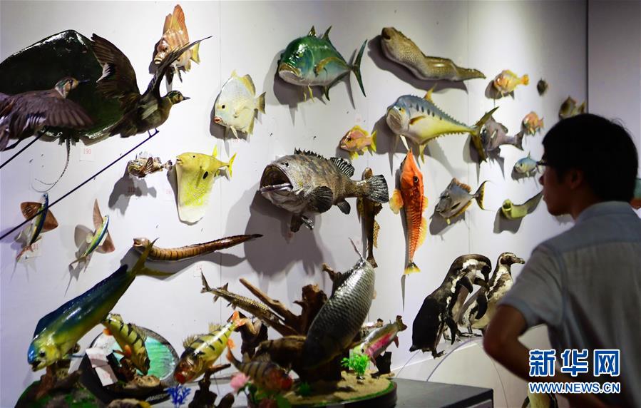 瓜香四溢里的科技温度截图4