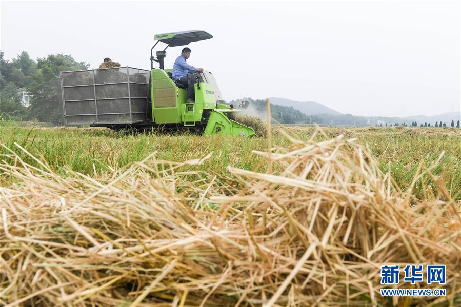 澳门将于9月推出“全国运动会社区消费奖”。截图4
