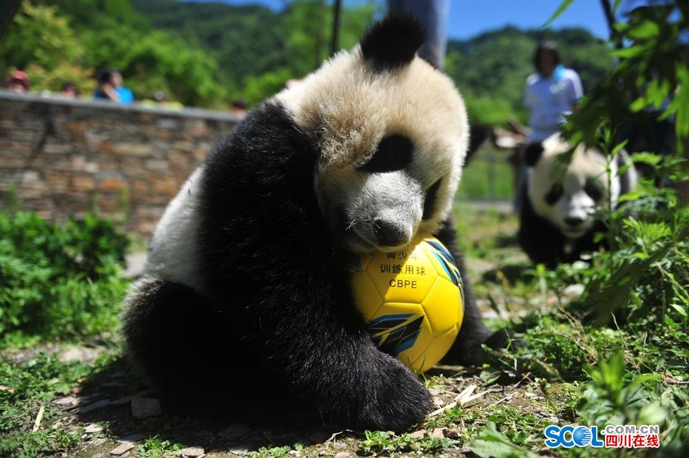 以最严标准守护最美国土截图3