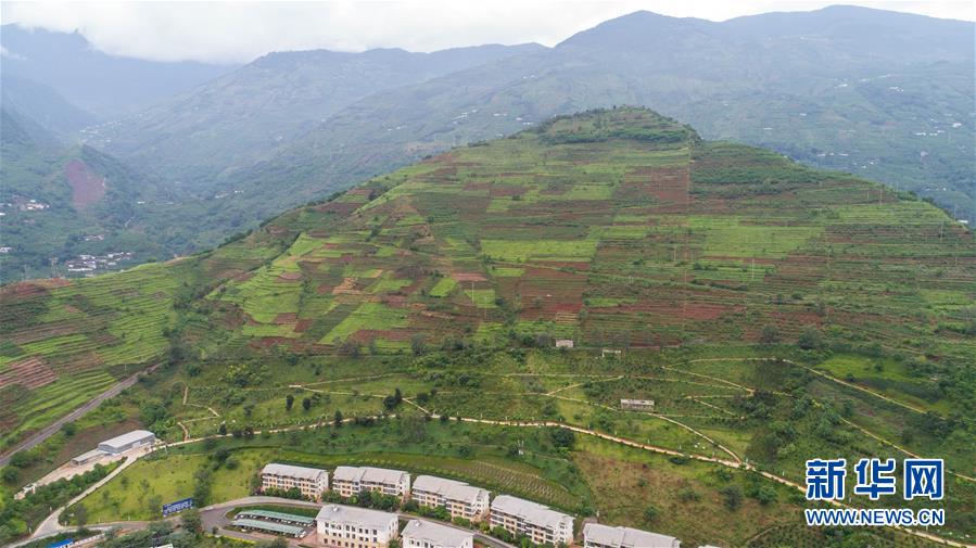 第十三届葡语国家和地区最高法院院长论坛在澳门举行。截图4