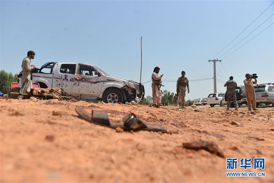 多元化的收益推动了村民收入的增长截图1