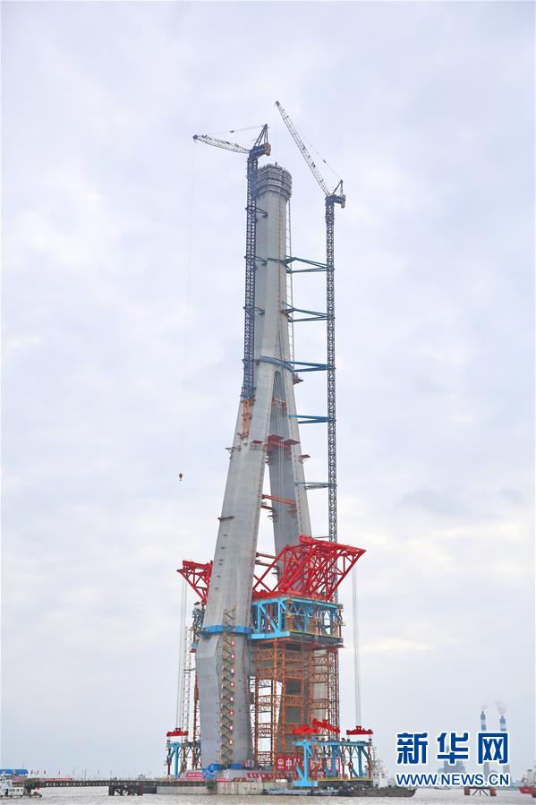 百年修仙，我快死了金手指才来