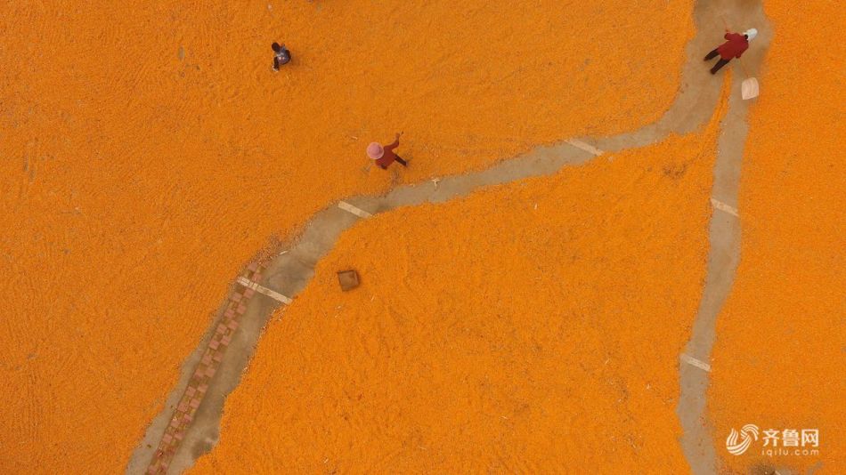 具身智能正在加速融入各行各业。截图0