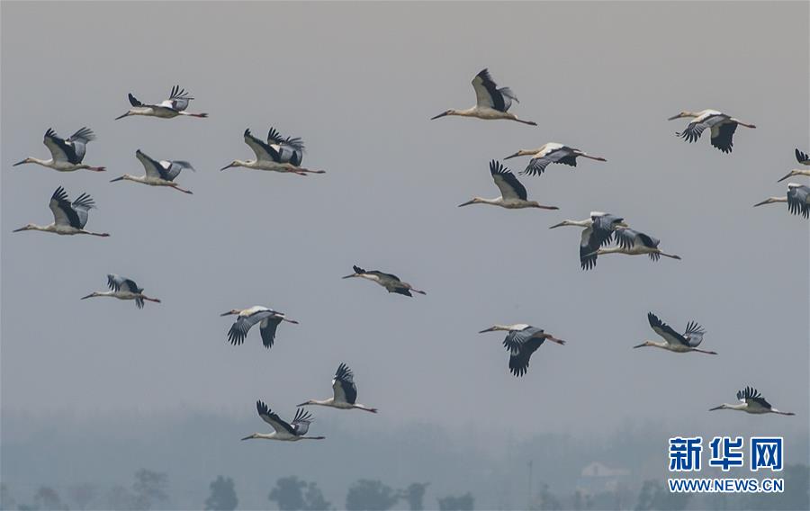 人民网公布2025年记者证申请人名单截图1