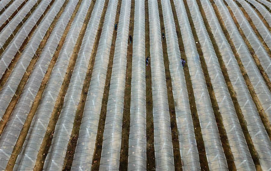 如何振兴老工业城市？截图0