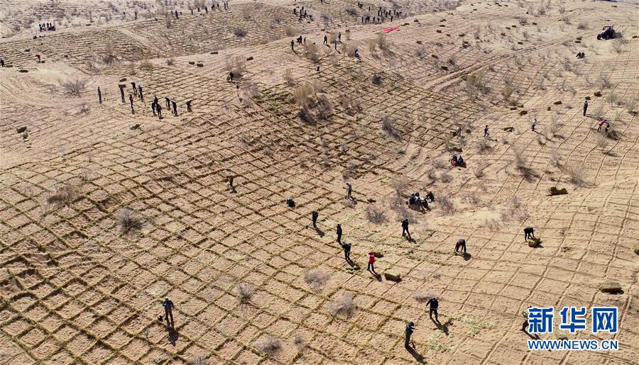 诡异命纹：开局铭刻十大阎罗