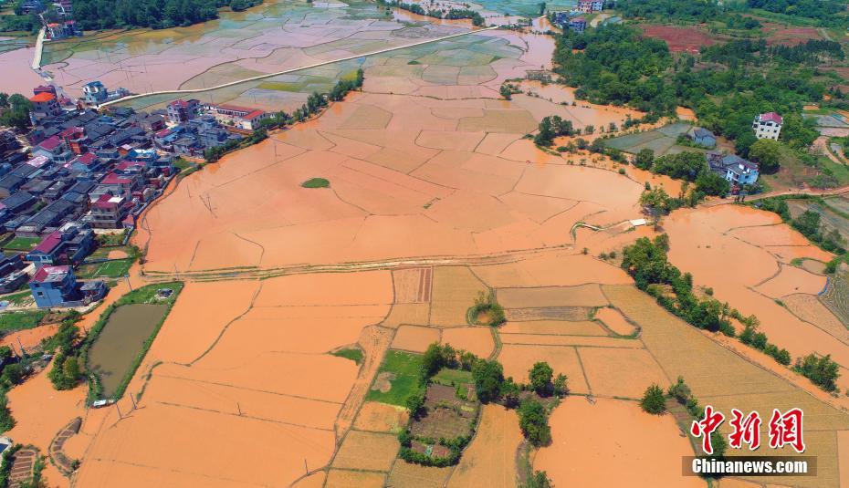 香港数码港举办领航企业高峰论坛截图2