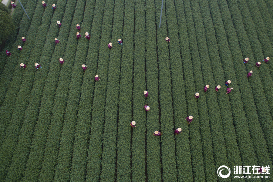 2025年全国粮食和物资储备科技周启动。截图4