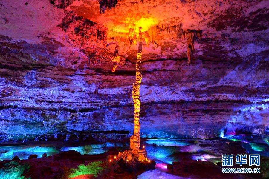 从“劏房”到香港体育馆的舞台，李家超赞扬了鼓舞人心的学生。截图4