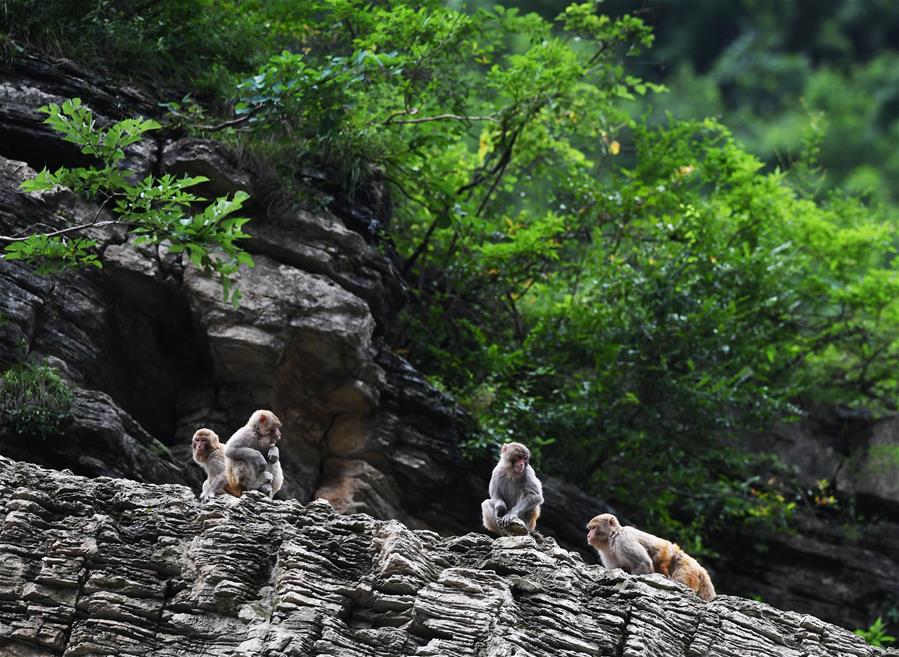 经过多次波折，“双子城论坛”最终确定。截图3