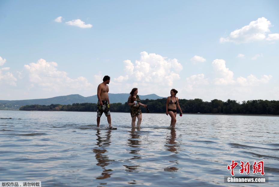 澳门举办“新港风味市集”以振兴社区截图3